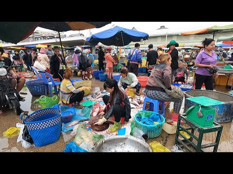 WOW! The Biggest Site Distribution Fish at Chhbar Ampov Market in Phnom Penh City | Wet Market Tour