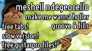 Lesson #14 // Meshell Ndegeocello - Make Me Wanna Holler (groove &amp; fills)
