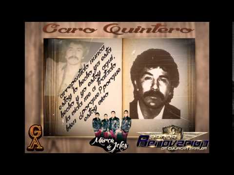 Caro Quintero - La Marca De Jefes (Con Banda Renovación) 2015