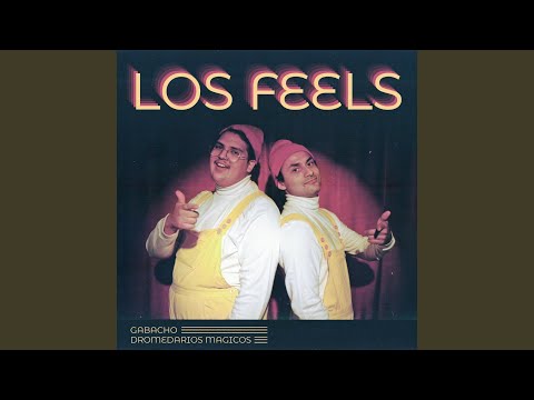 Los Feels