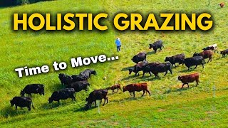 Raise More Cows & Sheep Per Acre Using These Grazing Techniques