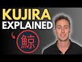 Kujira (KUJI) Crypto Overview - A Real Yield Focused DeFi Ecosystem