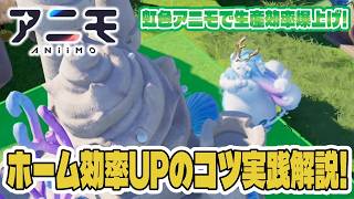 【アニモ】虹色アニモで生産効率UP！虹色アニモが重要な施設やキャンプレベル上げのコツを紹介実践解説～！【初心者向け攻略動画｜オススメアニモ】