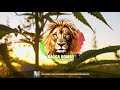Collie Buddz Love Is Life Ricky Tuff Brian Brainstorm Bootleg