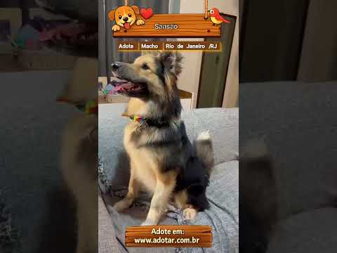 Vídeo de Sansão 