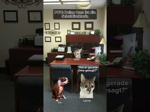 POV: Your grandma is the principal😍#funny #catmeme #povcat #grandma #school