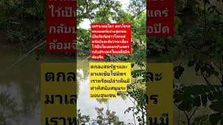 Download lagu #remix #dj #edm #music #sound #automobile #plants #colonelkkjϟ #thaifood #mindset mp3 Download lagu #remix #dj #edm #music #sound #automobile #plants #colonelkkjϟ #thaifood #mindset mp3