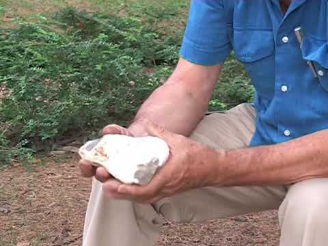 La pietra e il fuoco nella preistoria