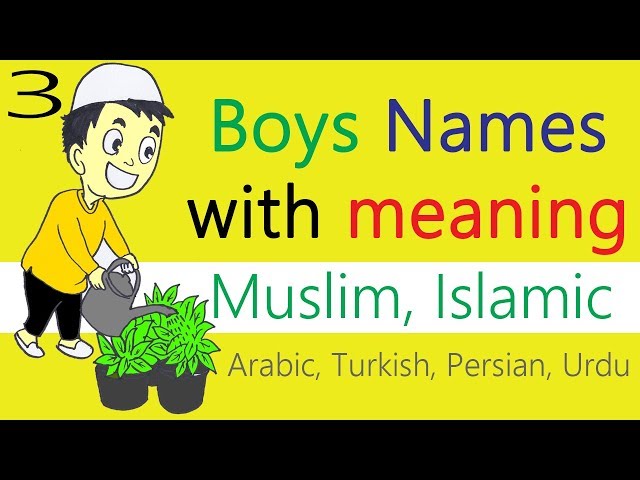 Video Pronunciation of aneeq in English Video Pronunciation of aneeq in English