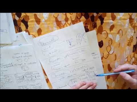 20 - /1- pregatiri logica - rationamentul - argumentarea, demonstratia, tipuri de rationamente