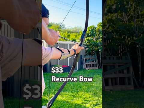 $33 Recurve Bow - Any Good? 🏹 #archery #shorts