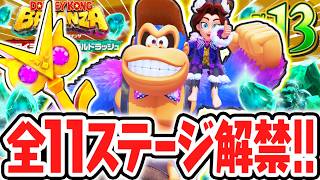 最終ステージはまさかの階層!?レベルMAXでカンストを狙おう!!Switch2でDLC実況Part13【ドンキーコング バナンザ DKアイランド&エメラルドラッシュ】