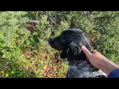 keep Pointing 👉 😀