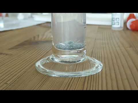 Mel science tin hedgehog Time Lapse