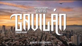 El Son Del Gavilán Lyrics English Translation