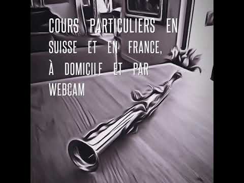 Stéphane FALANGA professeur de saxophone et de clarinette