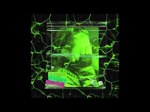 XOLITXO  レモンツリー4