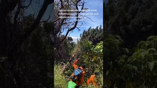 Download lagu Proses pencarian pendaki hilang di gunung Slamet #repost #timsar mp3 Download lagu Proses pencarian pendaki hilang di gunung Slamet #repost #timsar mp3