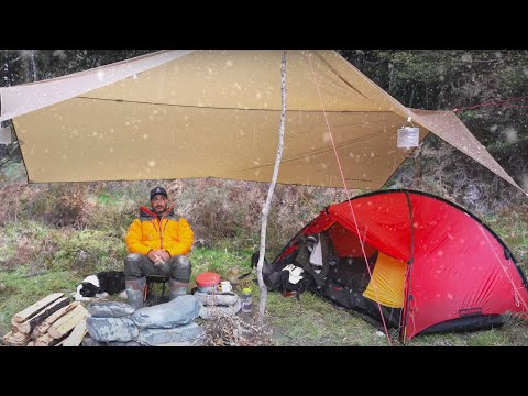 , title : 'Tent CAMPING in RAIN - Freezing Rain and Snow - Dog'