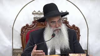 🕊️ הרב ישי פרי שליט״א |השיעור השבועי | פרשת שבועות תשפ״ו