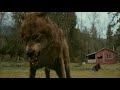 Attitude Whatsapp Status Don T Touch My Girl Angry Boy By StrangeR