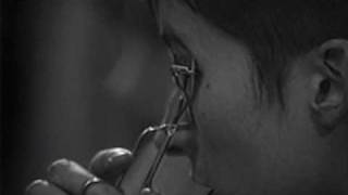 Aterciopelados - Mujer gala (1993)