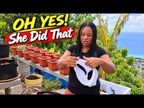 Save Big by Starting Your Own Container Garden: Soil Tips