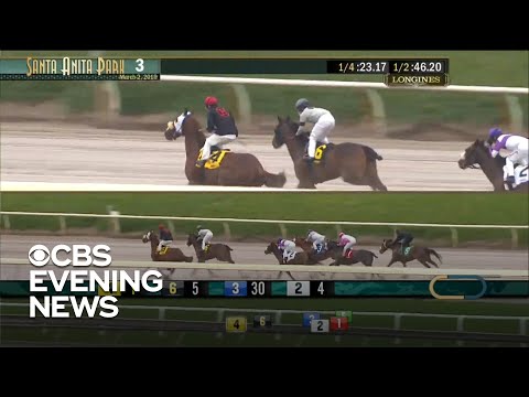 Racing canceled at Santa Anita after horse deaths