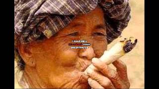 Das kleine Arschloch - Ich bin Jung und du bist Alt !