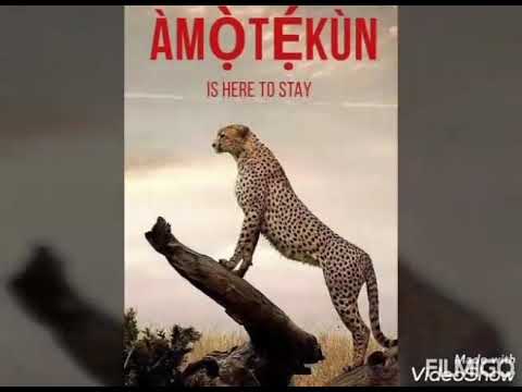 Download Oyo Anthem 3gp Mp4 Codedwap Go to settings → sound → ringtones → add → musicplayer → folders: codedwap