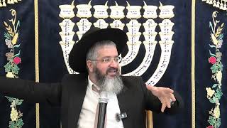 מנהג תימן בבשר חלק ????? מושב אשתאול י"א תמוז התשפ"ד