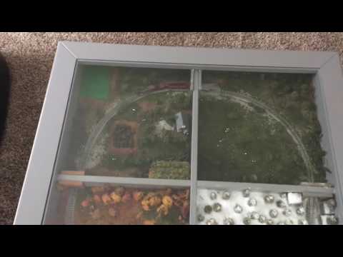 Coffee table train layout