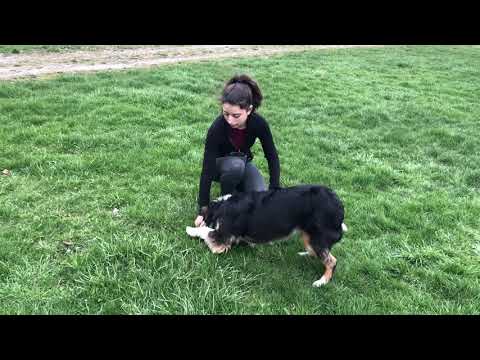 The Value of Reinforcements