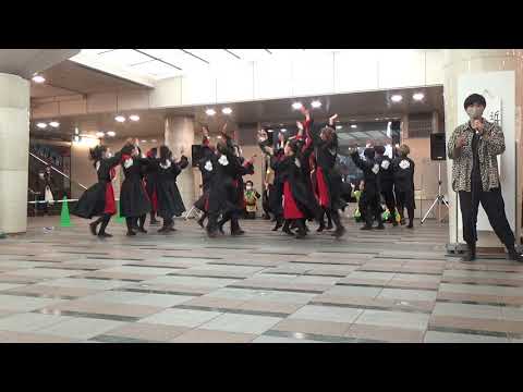 近畿大学　洗心　京都さくらよさこい　ゼスト御池