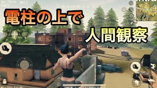 【荒野行動】セントラルで人間観察