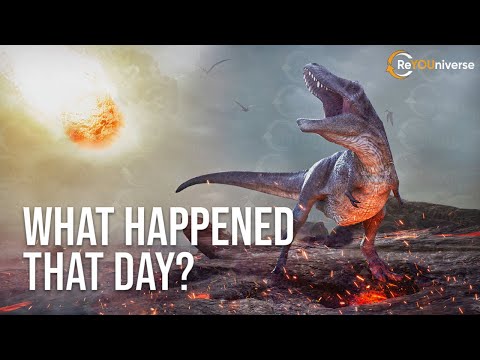 THE LAST DAY OF DINOSAURS | ReYOUniverse