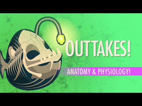 Outtakes #6: Crash Course A&P