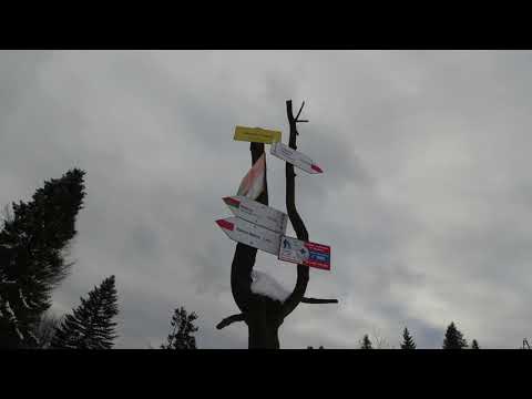 Winter hiking trip from Brenna to the PTTK shelter in Błatnia / Beskid Śląski / 4K