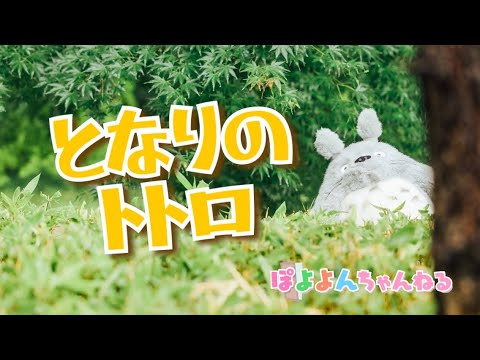 文学科 【ジブリ】♪となりのトトロ　歌詞付き ♪ 振り付き【元劇団四季ミュージカル俳優×アニソン歌手×テーマパークダンサーが歌って踊ってみた】井上あずみ "My Neighbor Totoro”