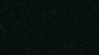 Os Mutantes 2010 - Neurociencia do amor