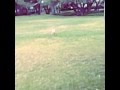 Pumba Bill kaulitz dog's [Hashtags at the Coachella ...