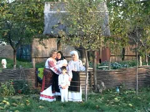 Dida Agache & Trio Royal - Ma intorc cu drag acasa (SPIROS GALATI)