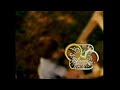 Disney Channel Wizards Of Waverly Place And LQI Good Luck Charlie BTTS Bumpers Fall 2010 2011