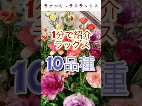 まだらのアクセントの鳥を引き寄せる方法