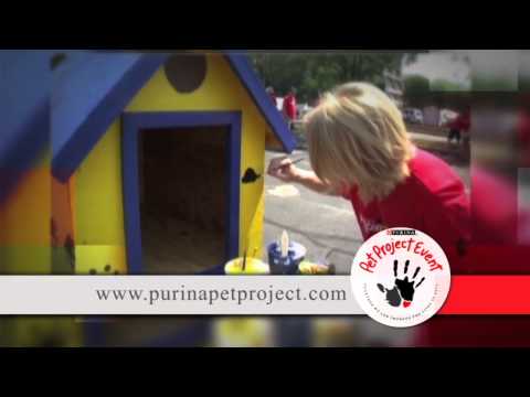 2012 IDC National Championships - Purina Pet Project Feature