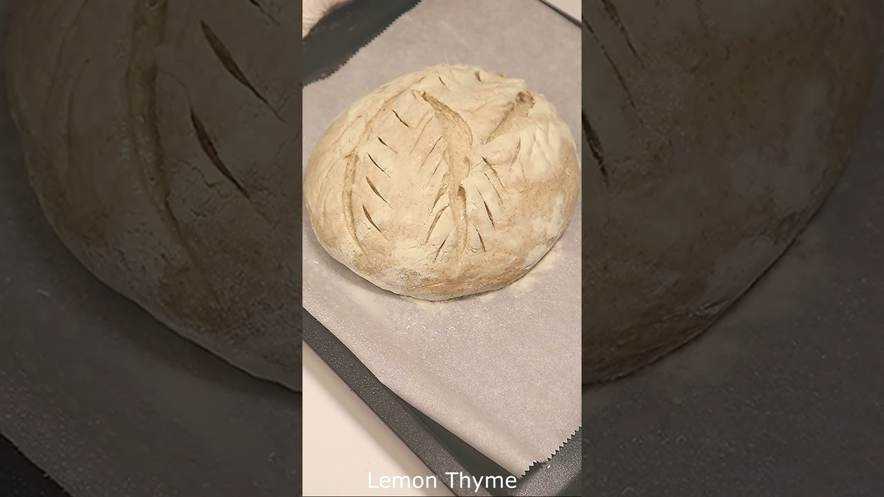 호밀빵 만들기 Rye Bread Making
