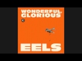 EELS - Stick Together [Audio Stream]