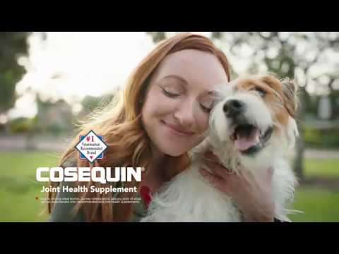 Nutramax Cosequin Maximum Strength Joint Health Supplement for Dogs - With Glucosamine, Chondroitin, and MSM, 60 Chewable Tablets Video