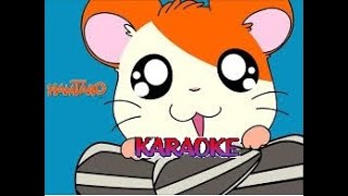 Hamtaro - Karaoke  (piccoli criceti grandi avventure)