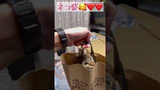 今日で2歳❤️誕生日おめでとう😻❣️❣